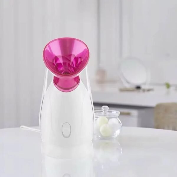 Nano Facial Steamer